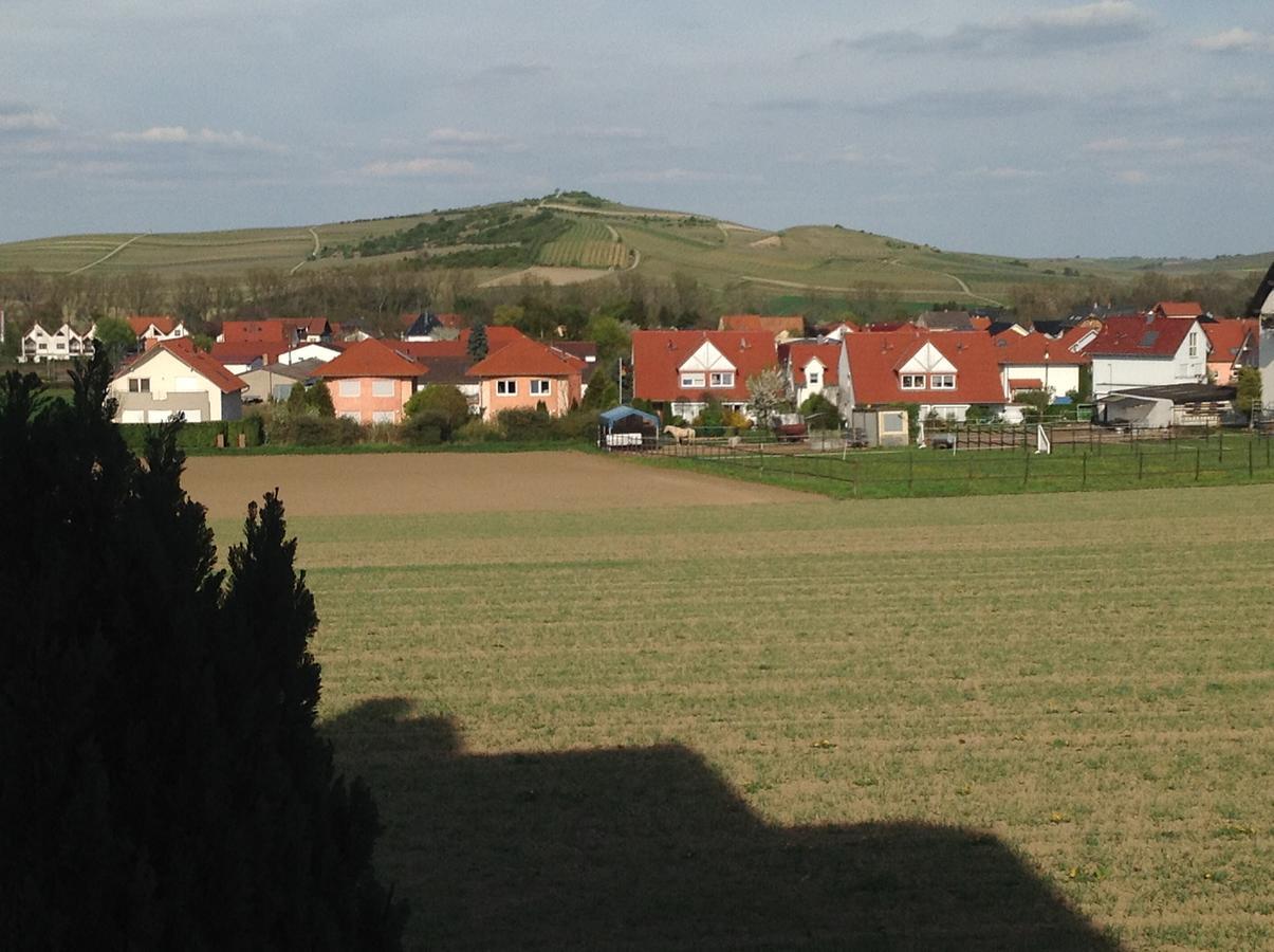 Gutshof Rebblute Bed and Breakfast Gau-Odernheim Zewnętrze zdjęcie